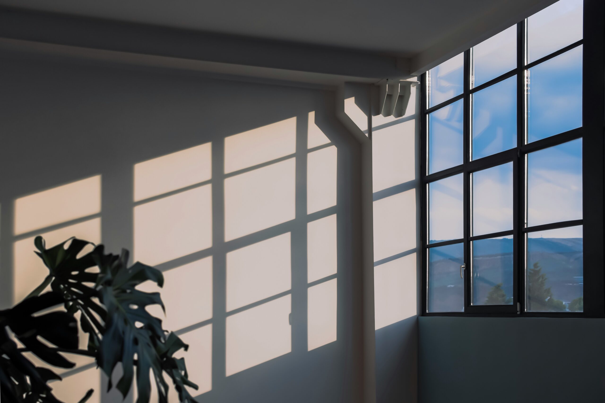 How Window Tint Can Help Create a More Comfortable Living Space